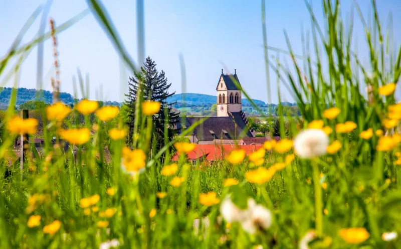 Badenweiler-Lipburg