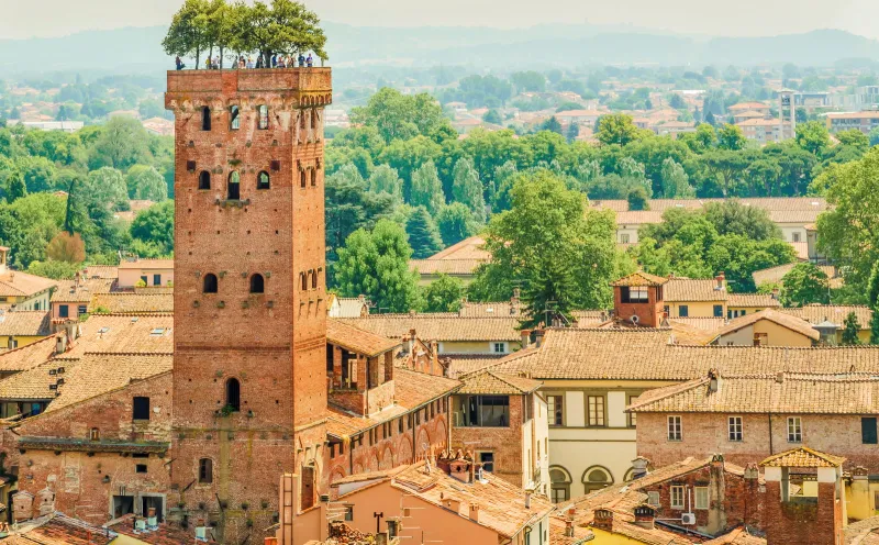 Lucca Guinigiturm