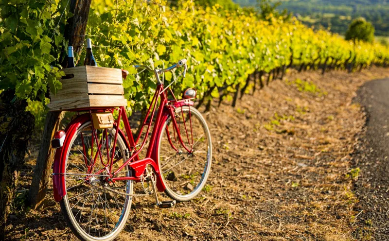 Cycling in Alsace