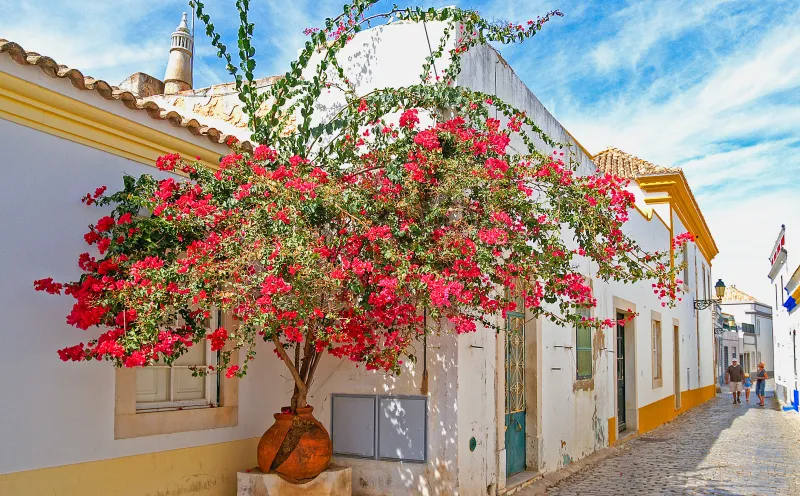 Faro