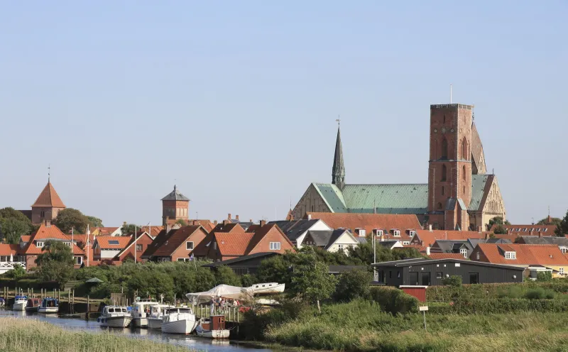 Ribe