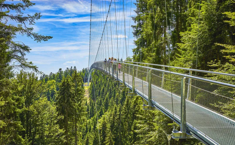 Bad Wildbad treetop path