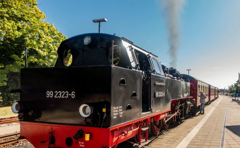 Molli bathing train