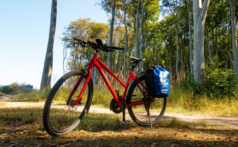 Rental bike with suspension seat post