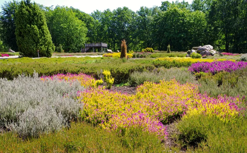 Heidegarten Schneverdingen