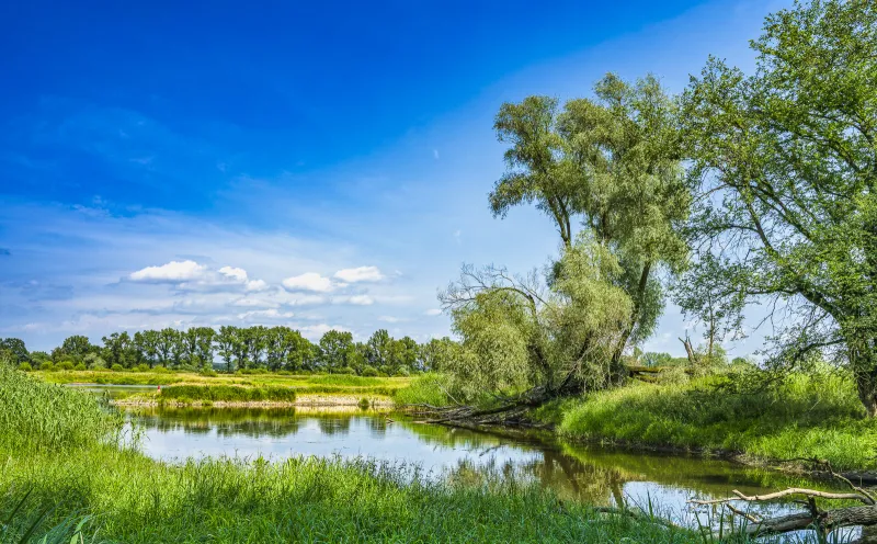 Landscape, Oder