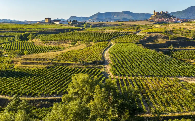 San Vincente de la Sonsierra