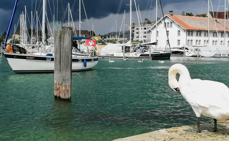 Lake Constance