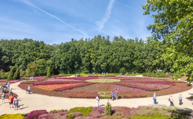 Schneverdingen, Heidegarten