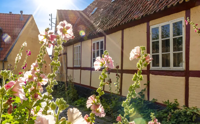 Old Town Stege
