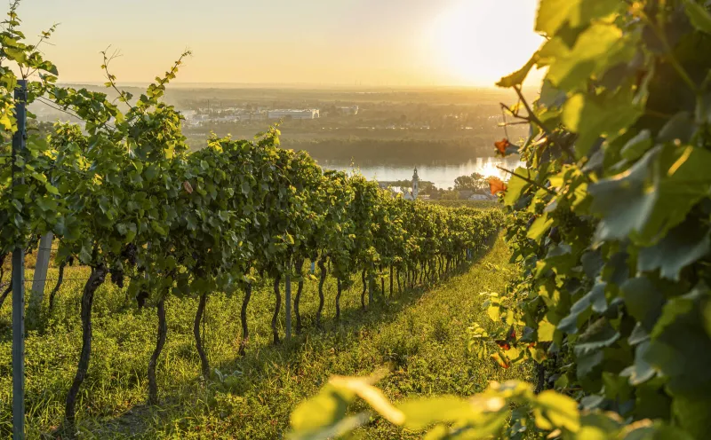 Kahlenberg village