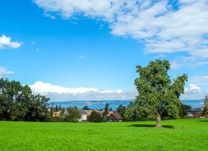 View of Lake Constance