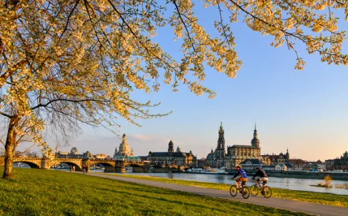 Der Elbe-Radweg