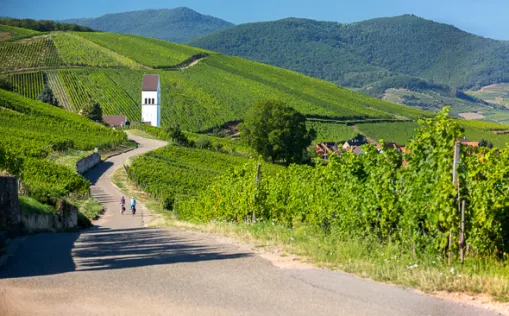 Radreisen im Elsass