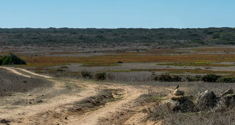 Sandweg