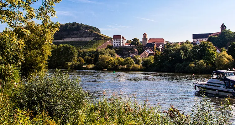 Radreisen am Main