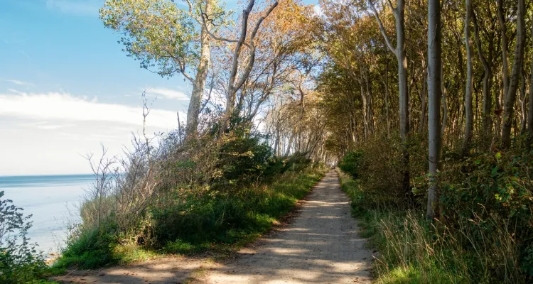 Radweg Insel Poel