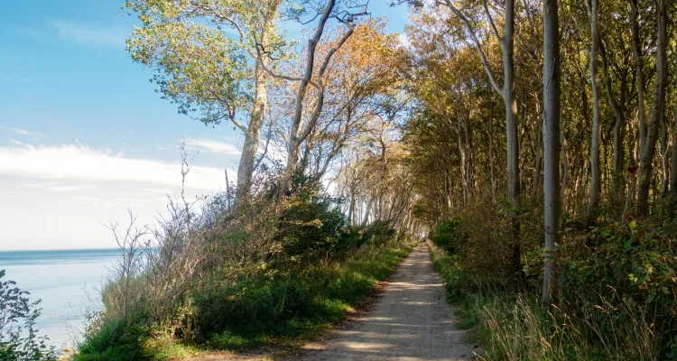 Insel Poel